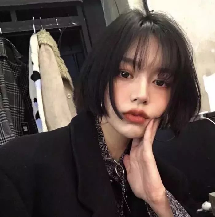 鹊巢鸠占